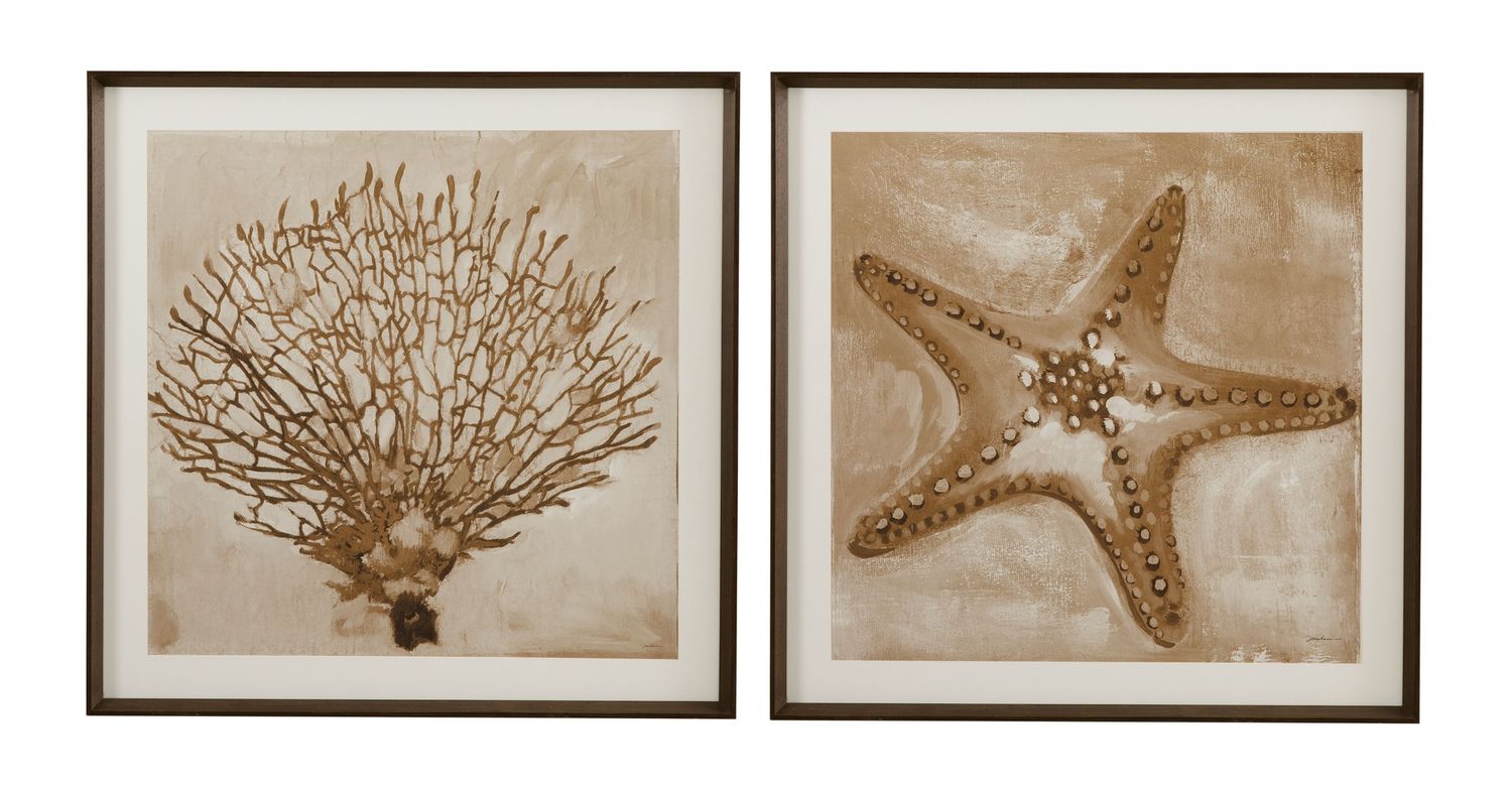 Neutral Seafan &amp; Starfish Framed Print (Set of 2) - Light Brown