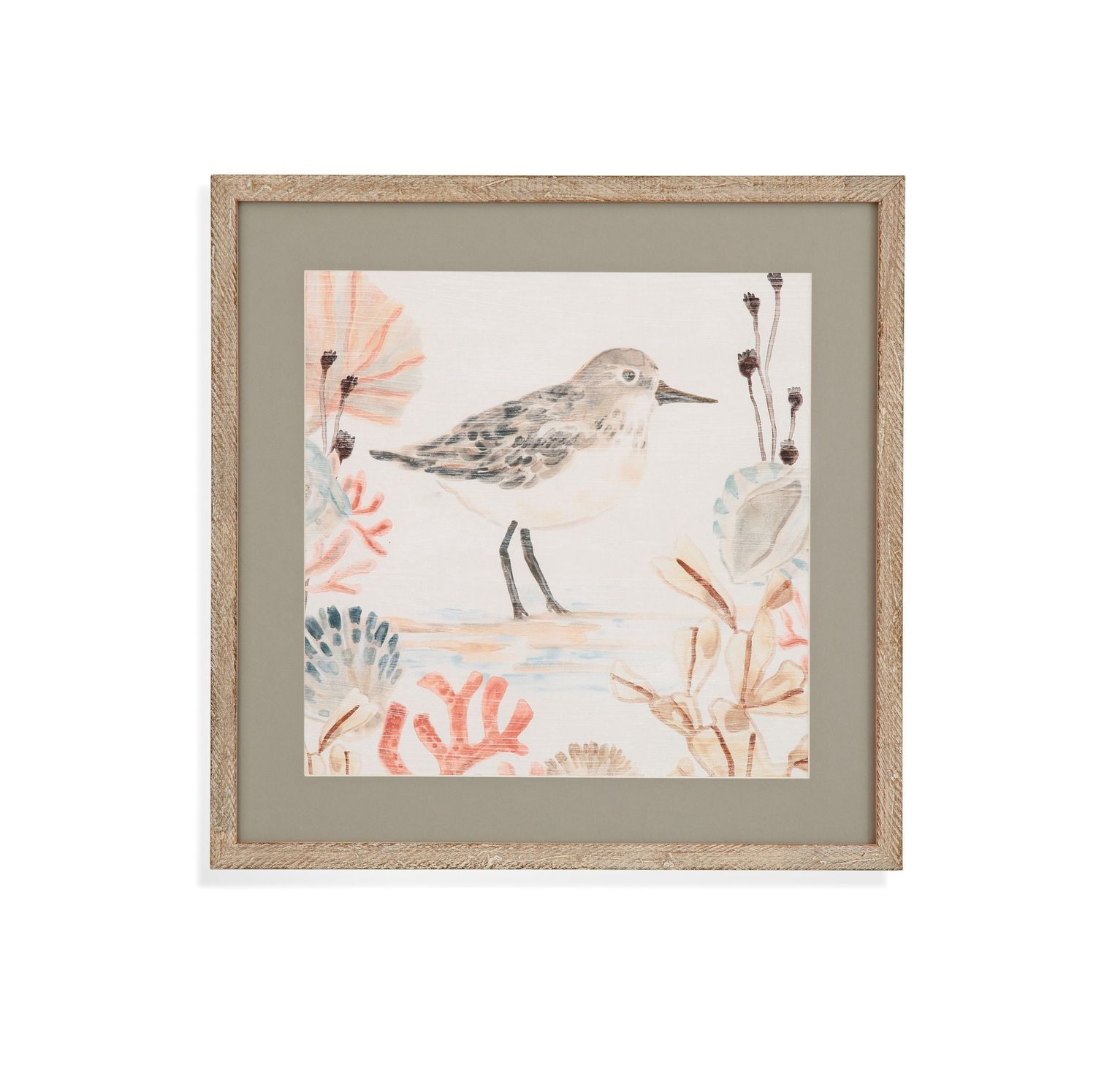 Shell Peppers I Framed Print - White