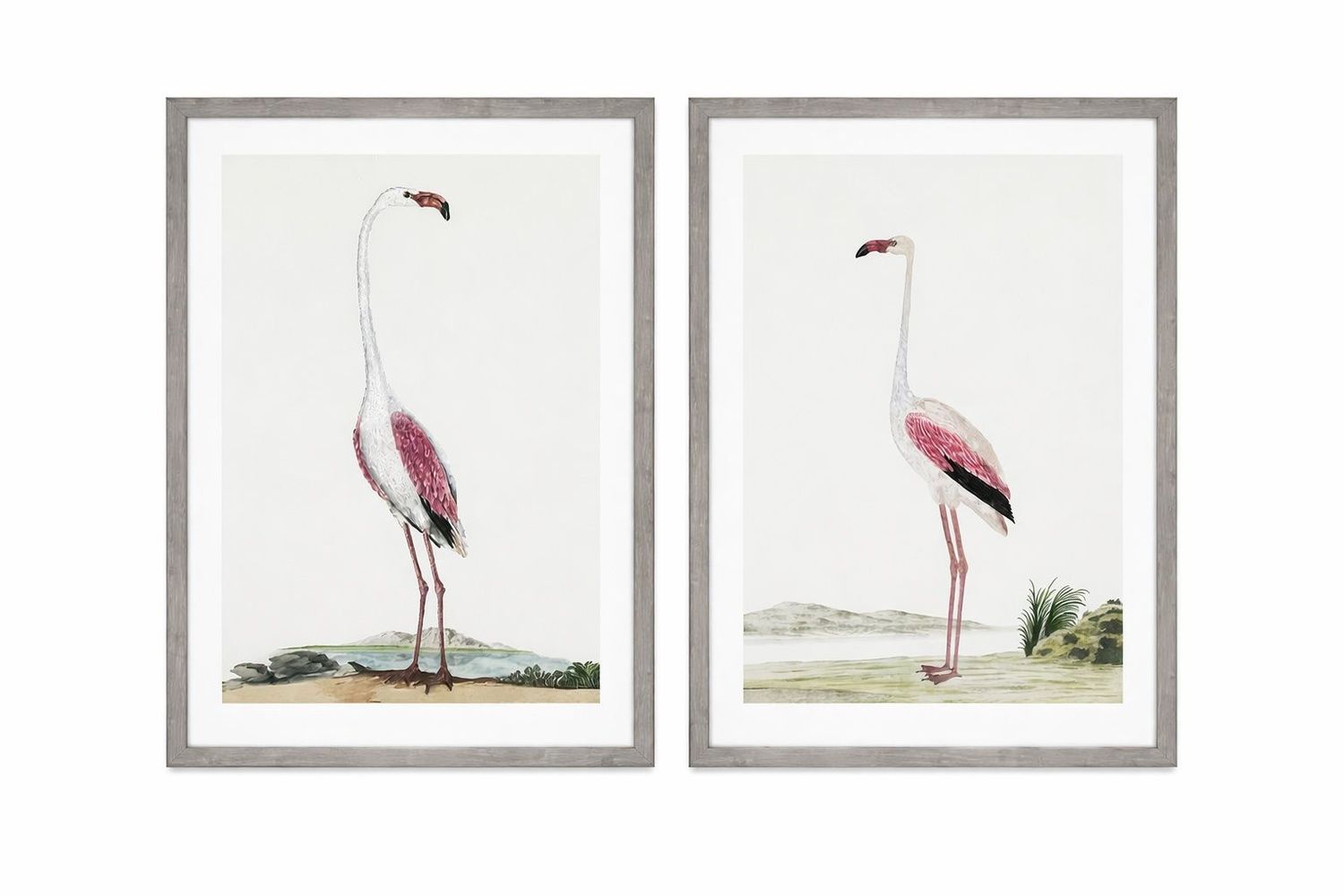 Vintage - Flamingo Framed Print (Set of 2) - Pink