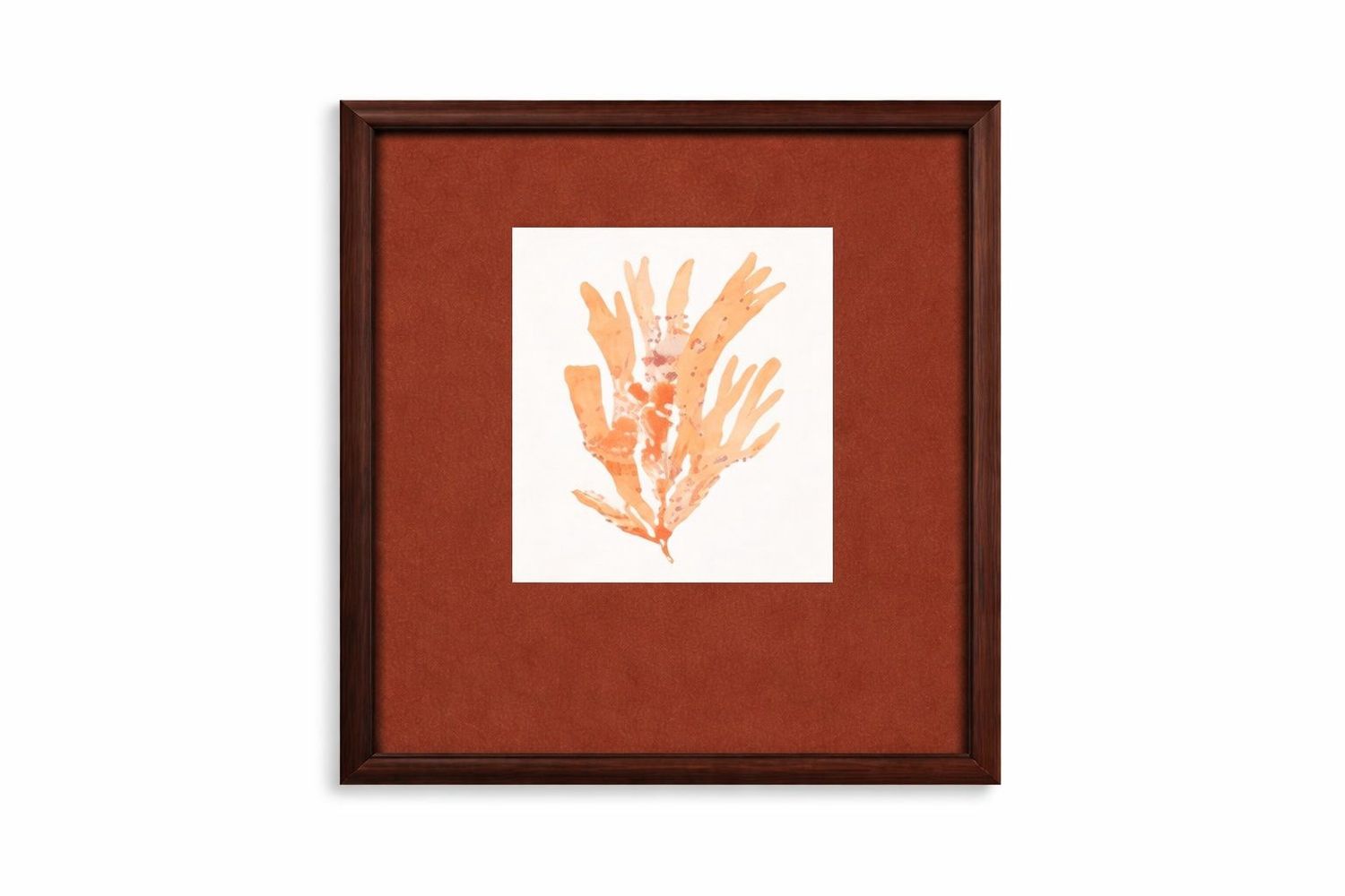Ochre Coral Framed Print - Red