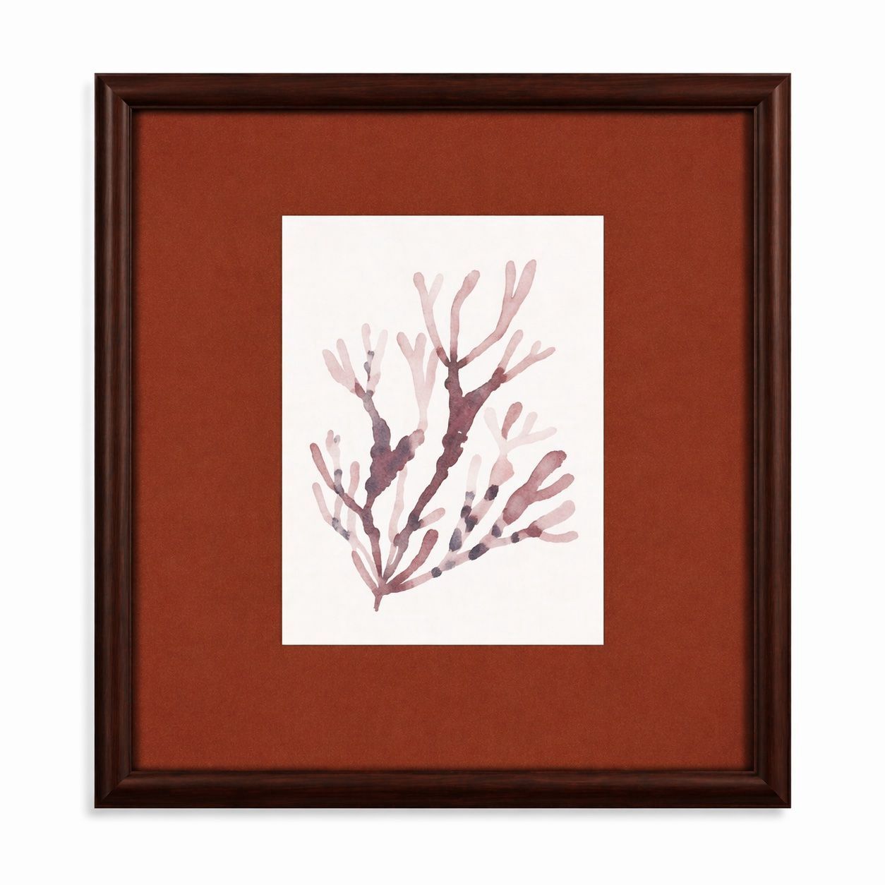 Spotted Coral Framed Print - Red