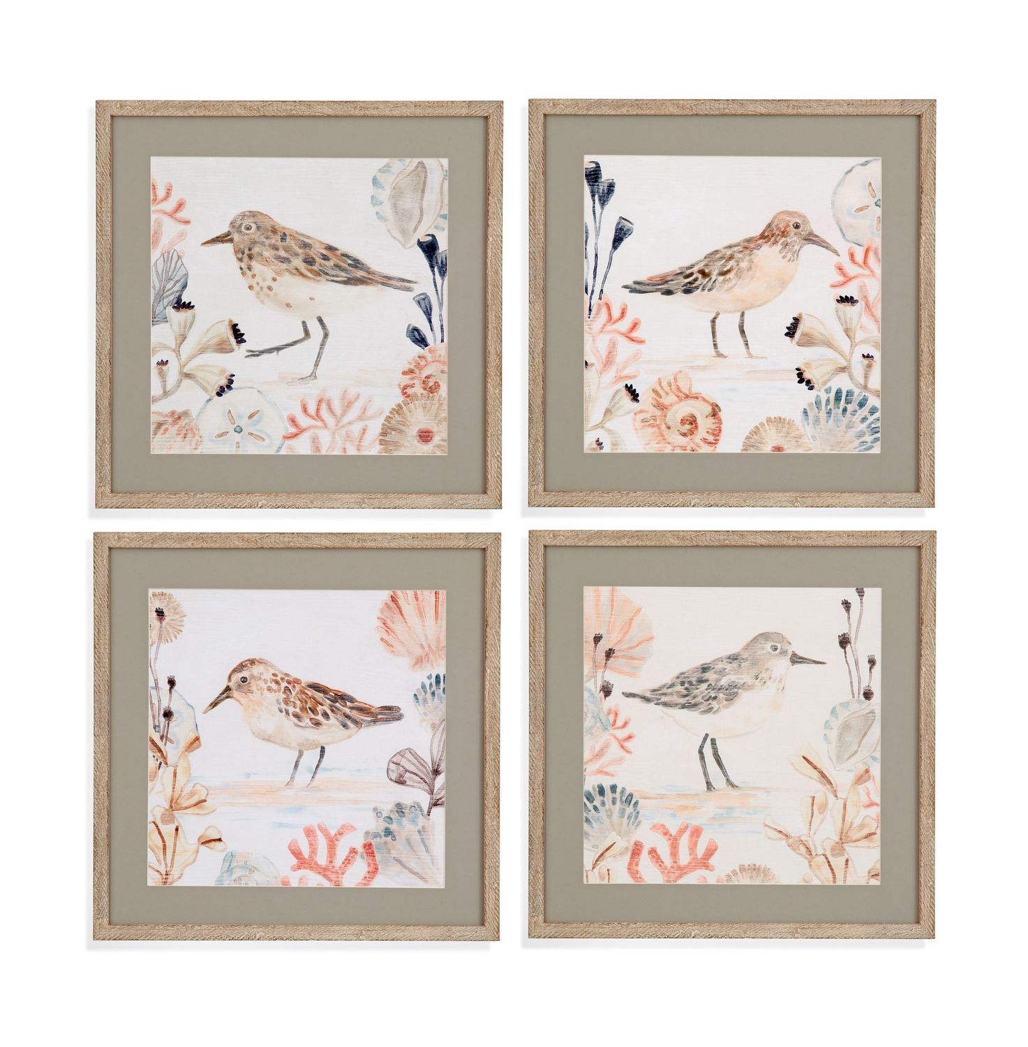 Shell Peppers Framed Print (Set of 4) - White