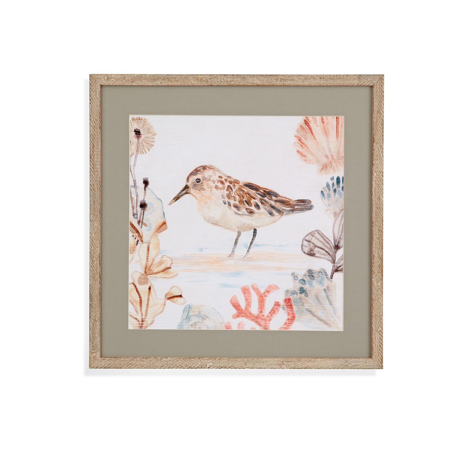 Shell Peppers IV Framed Print - White