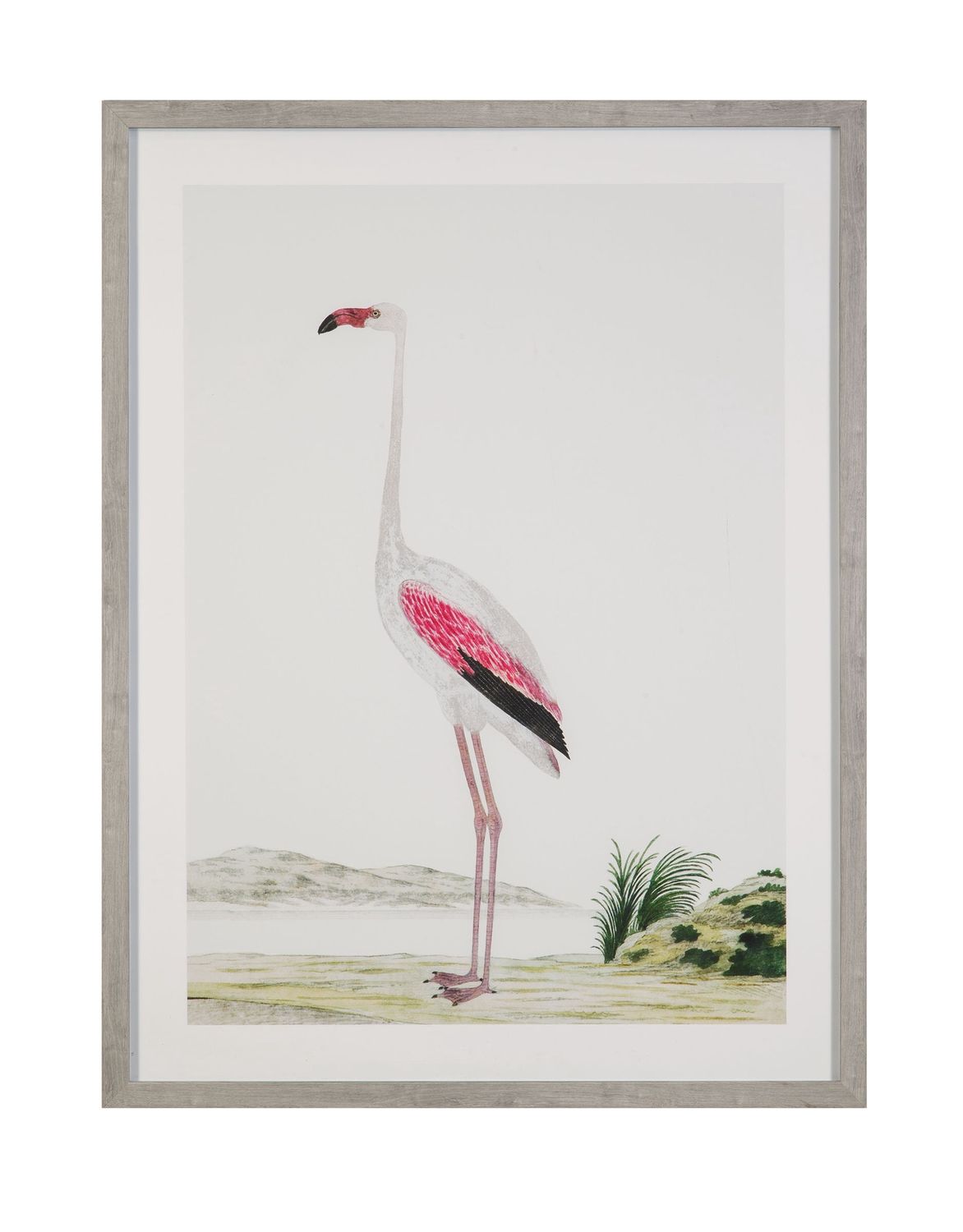 Vintage - Flamingo II Framed Print - Pink