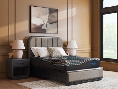 Millennium 2.0 Hybrid 14 Inch - King Mattress - Black - Black / King