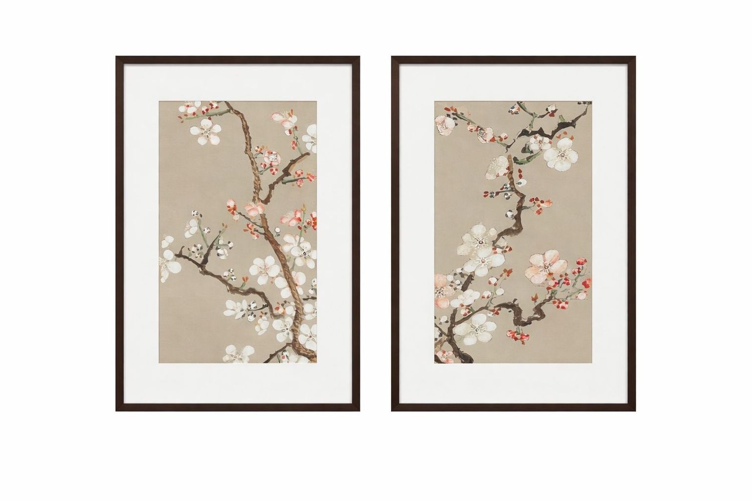 Pear Tree Framed Print (Set of 2) - Cream