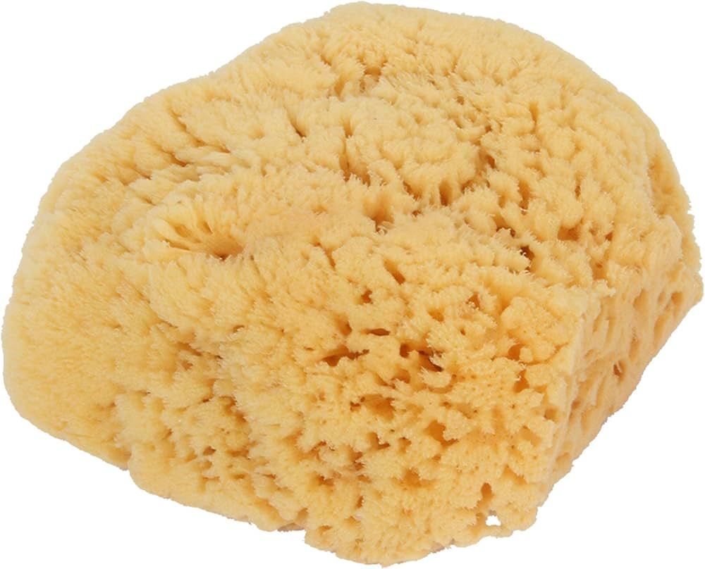 Bass Natural Sea Sponge