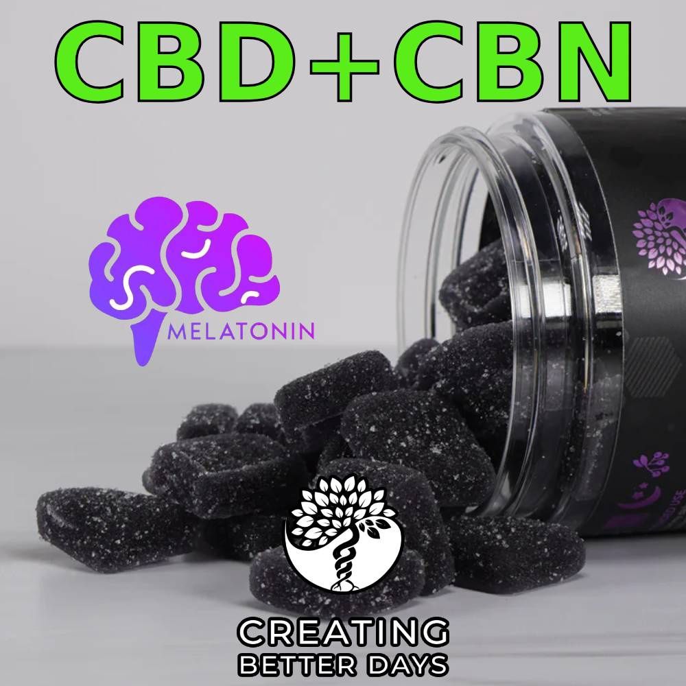 Canna Bar | Elderberry CBN Sleep Gummy