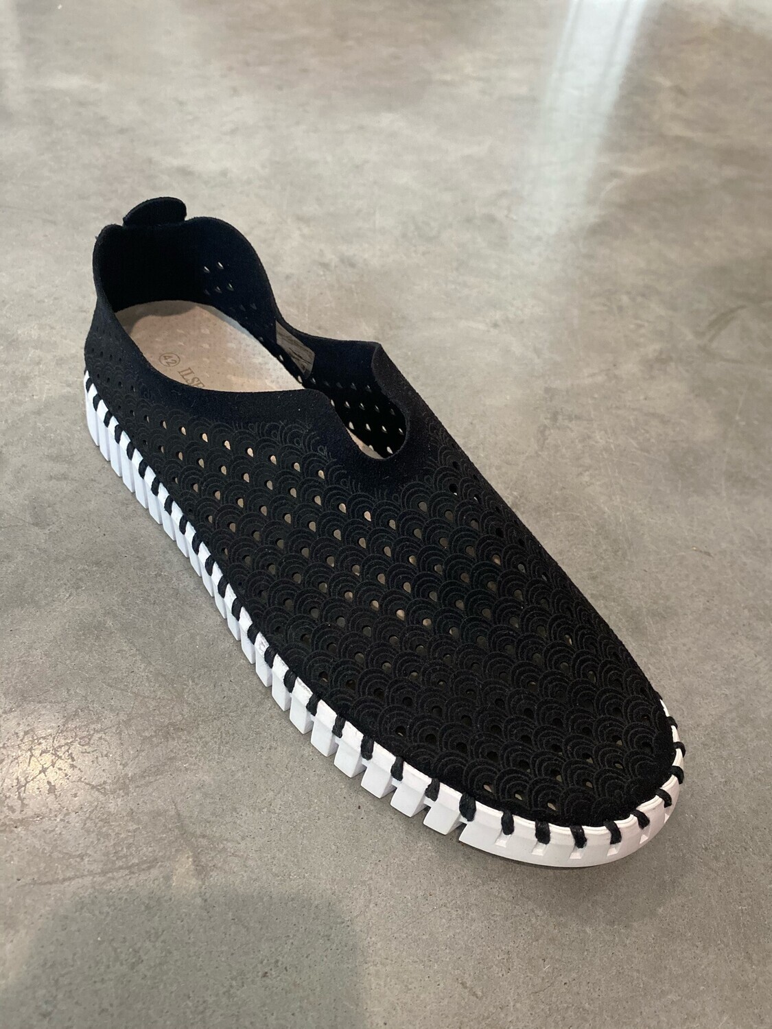 FD original tulip- Black