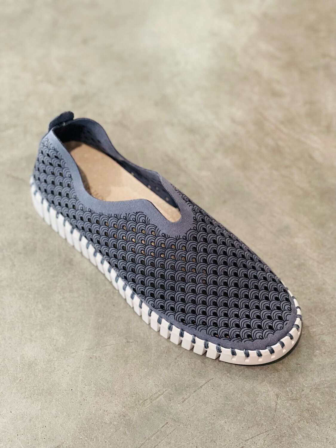 Original Tulip - Grey Blue