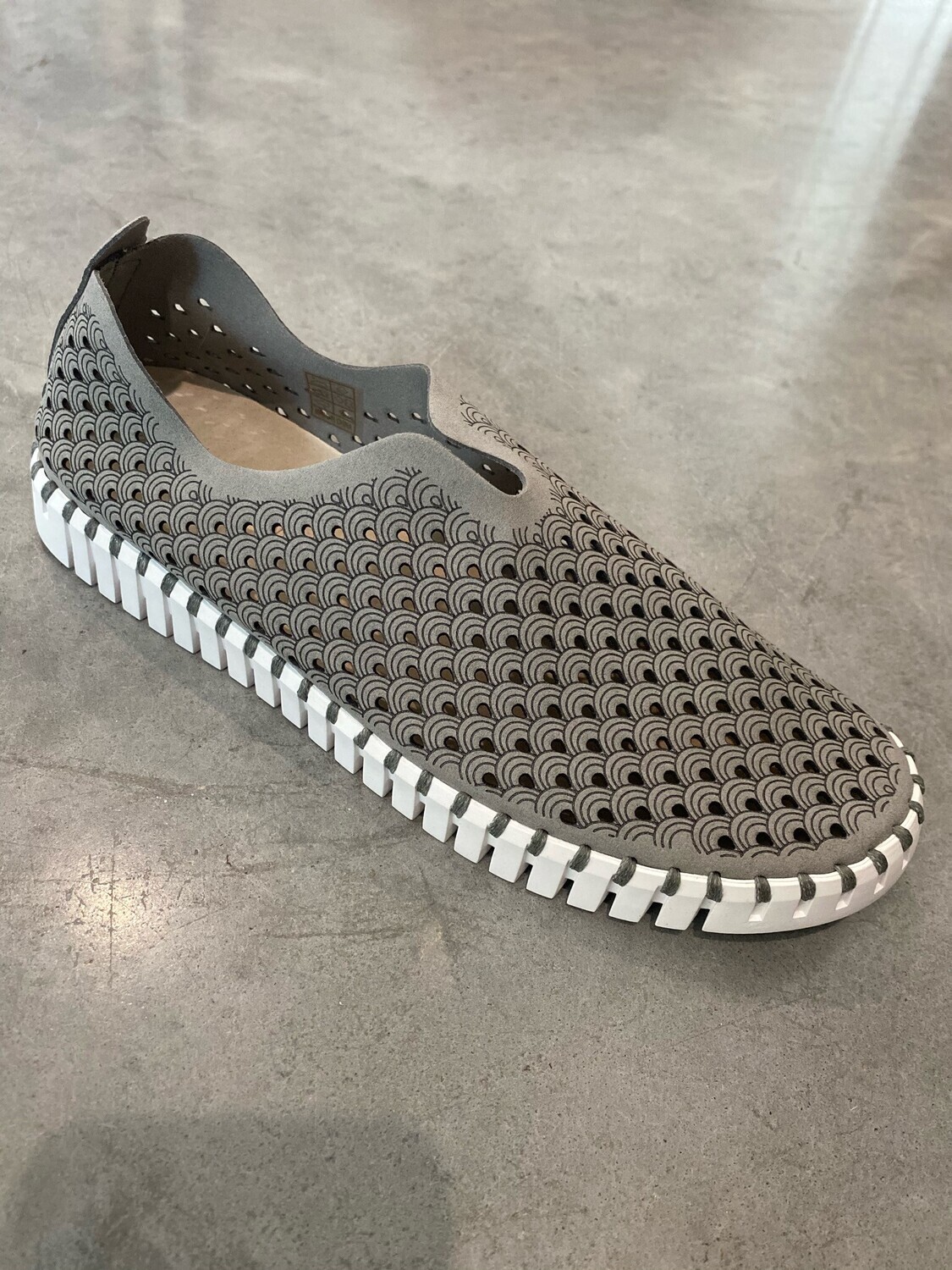 FD Original Tulip - Gray