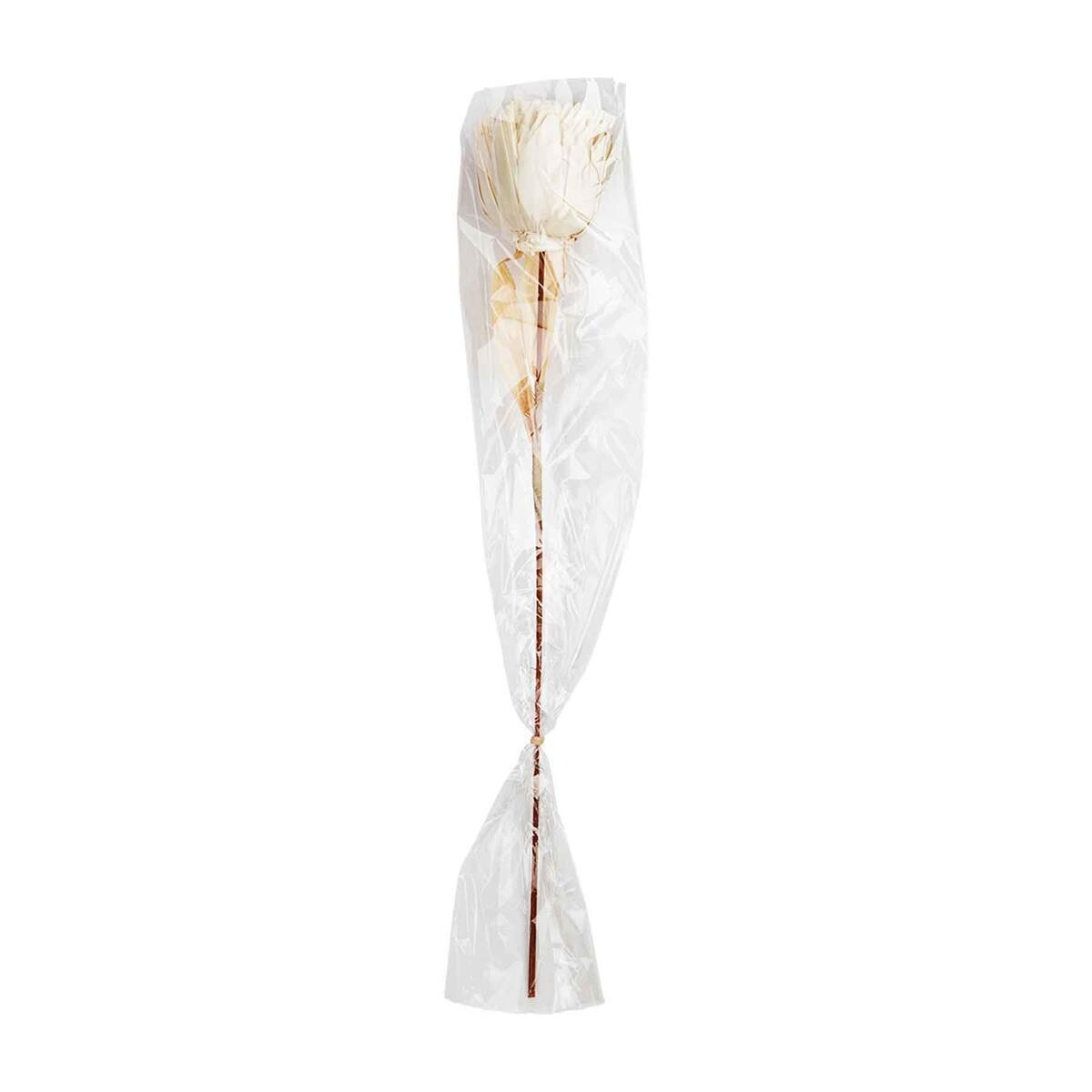 Preserved Bambo Mum Stem