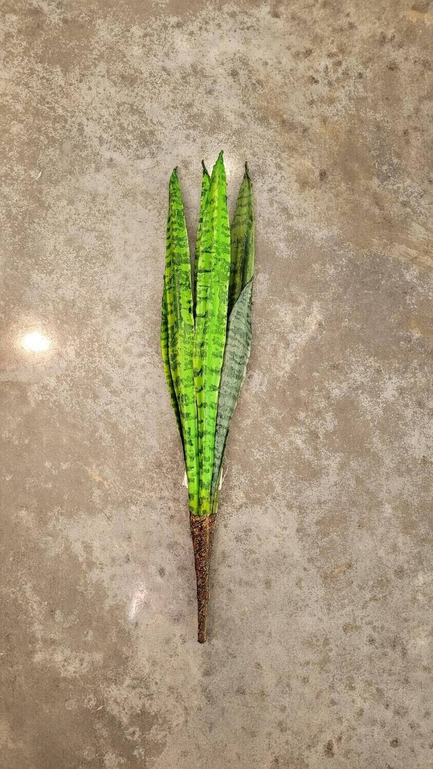 23&quot; Snake Plant Stem