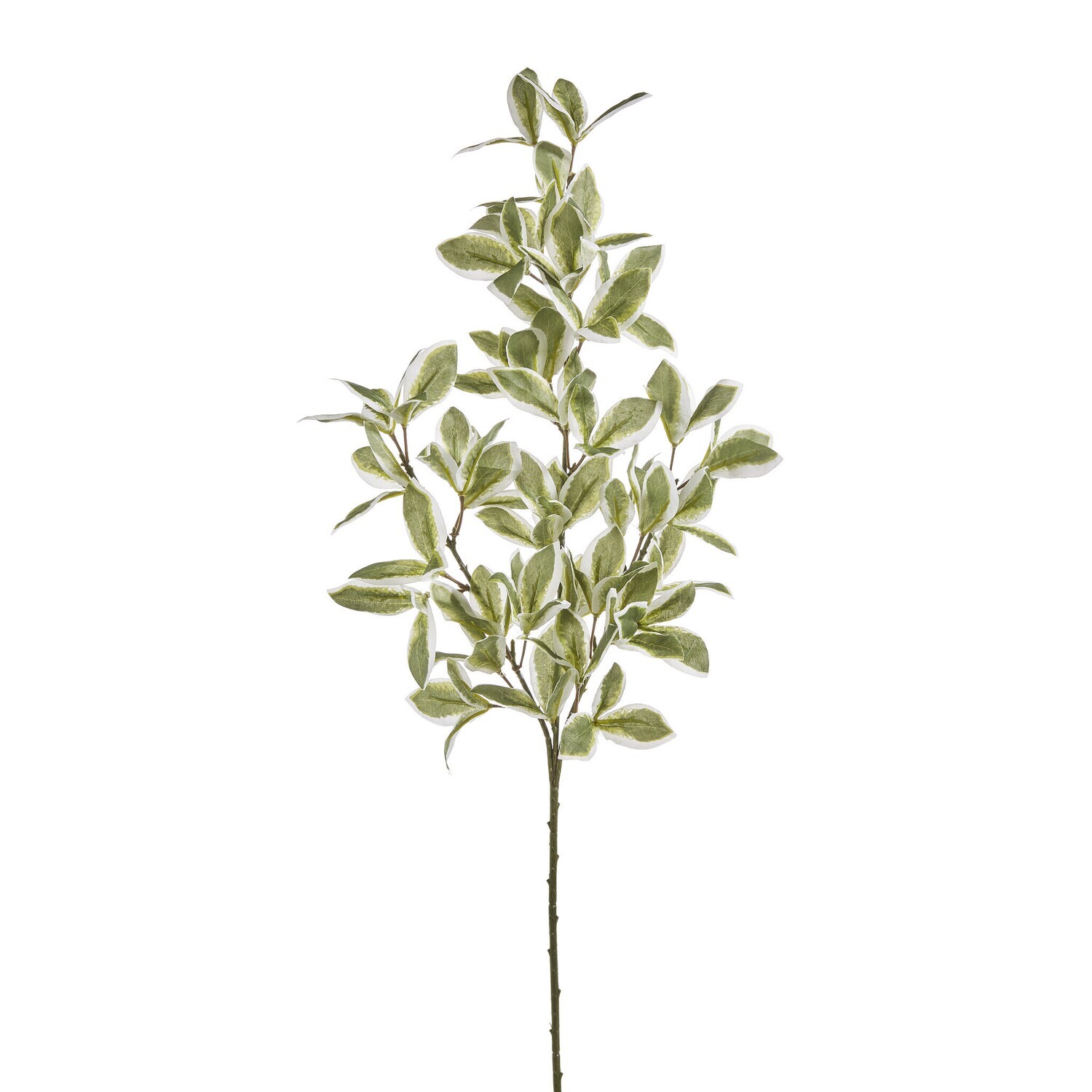 26&quot; Variegated Euonymus Leaf Spray