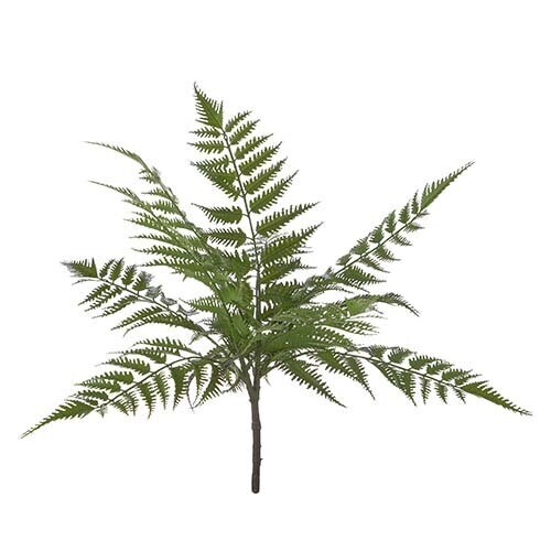 18&quot; FERN BUSH
