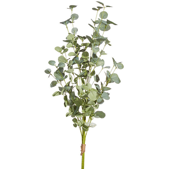 35&quot; Eucalyptus Bundle