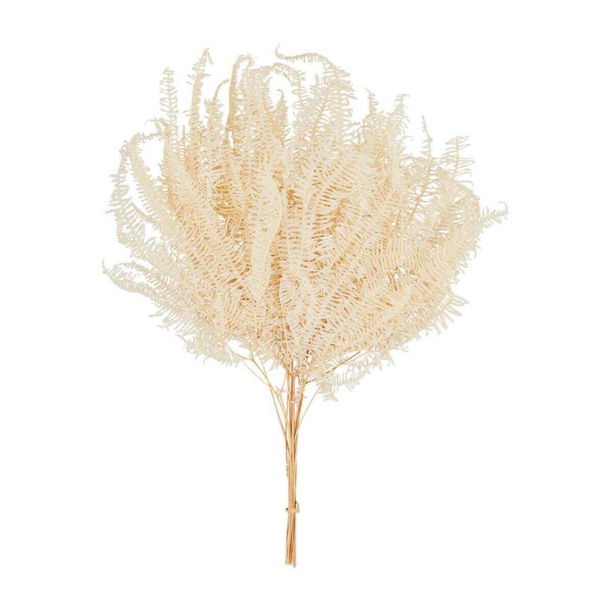 33&quot; Pampas Grass Plume Stem