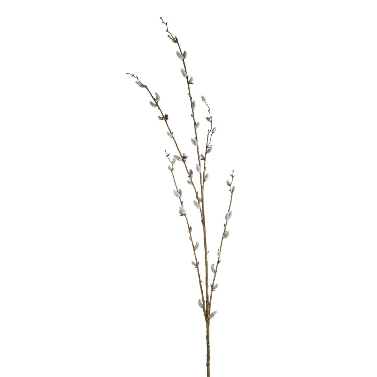 48&quot; Pussy Willow Branch