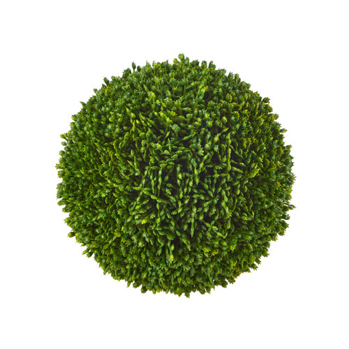 5.5&quot; Sedum Ball