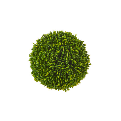 4&quot; Sedum Ball