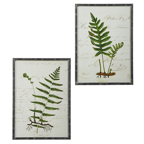 27.5" Botanical Fern Framed Print