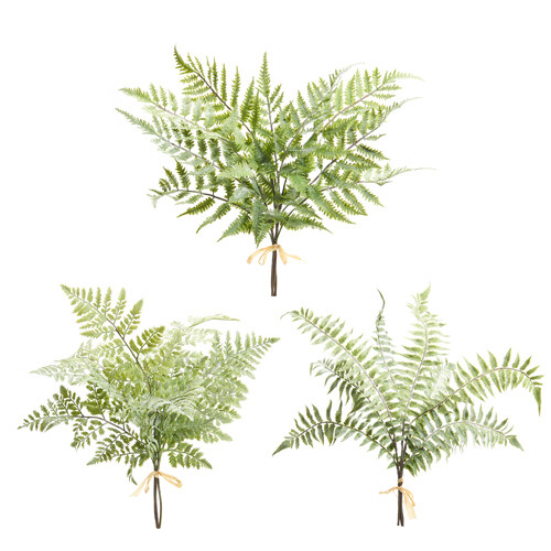 20" Soft Touch Fern Bundle
