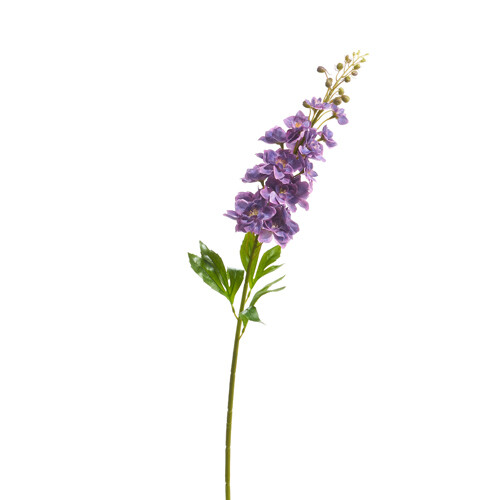 34" Delphinium Stem