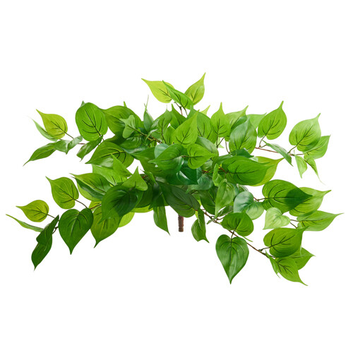 19&quot; Philo Bush