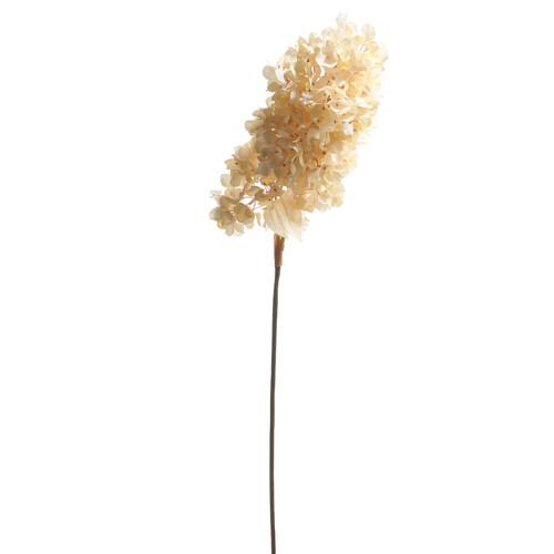 34&quot; Dried Hydrangea Spray