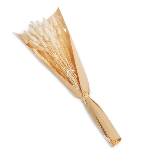 22&quot; Dried Bunny Tails Bouquet