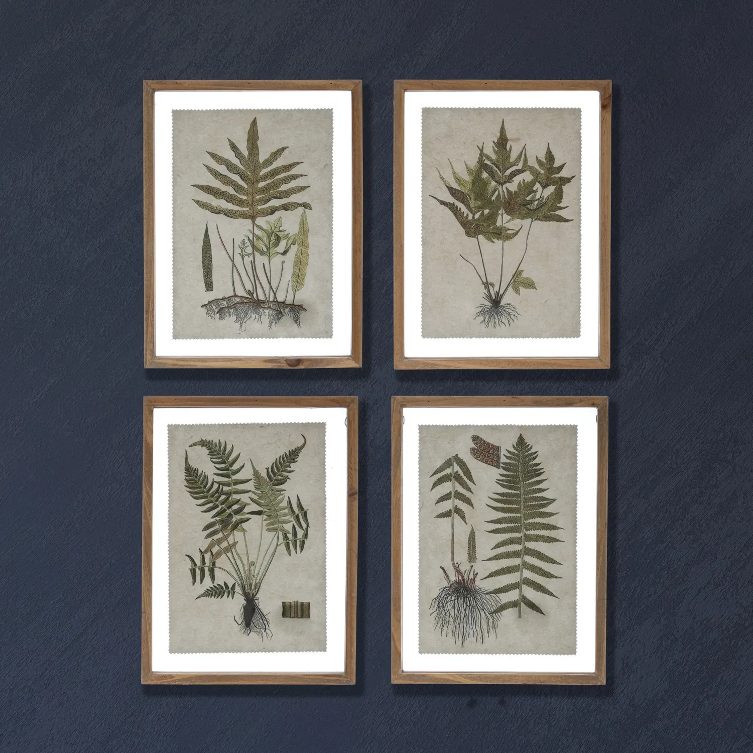 Framed Botanical Print 1