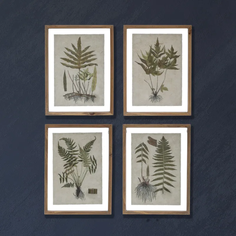 Framed Botanical Print 1