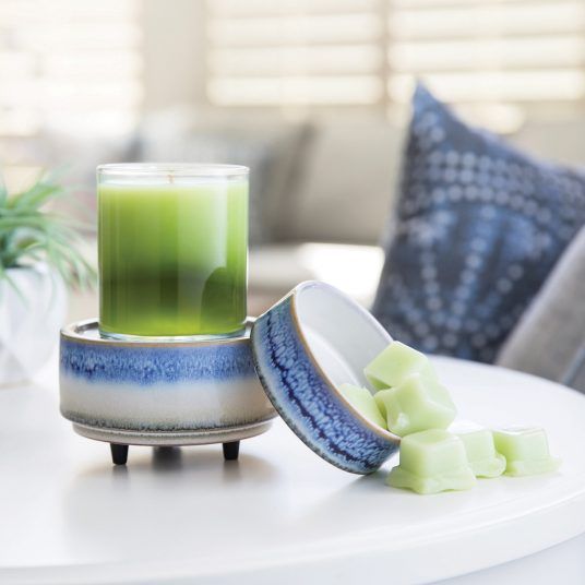 Horizon 2in1 Classic Warmer