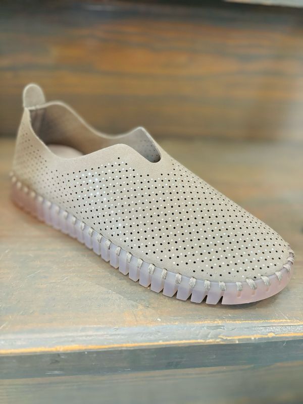 Tulip Flats-Falcon Lux