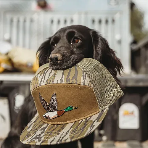 Roost Bottomland Duck Hat-Camo