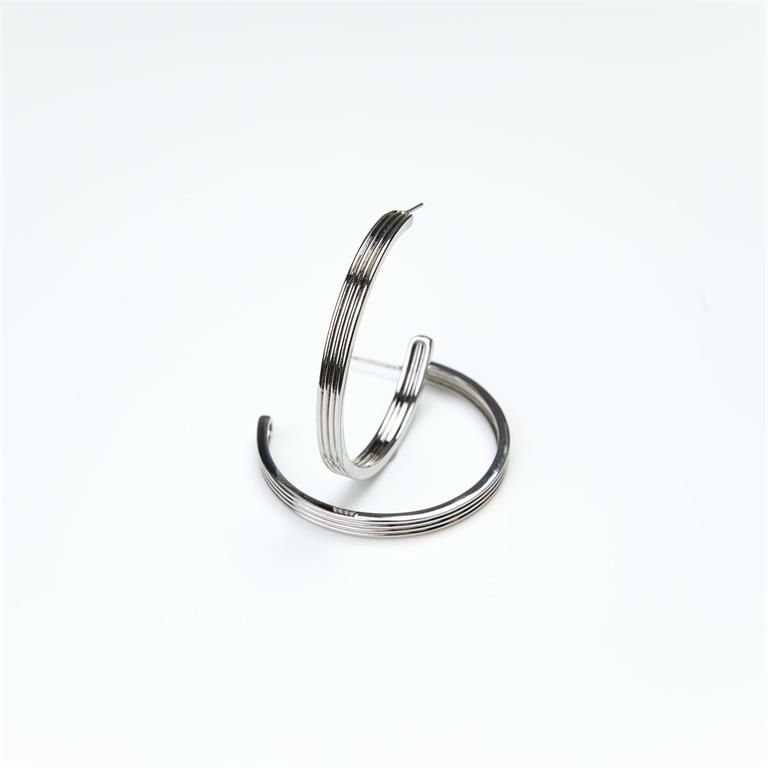 Sheila Large Silver Earrings