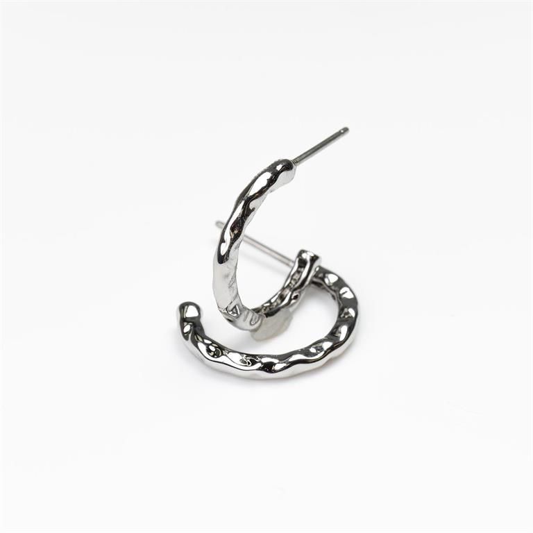 Charley Small Silver Earrings