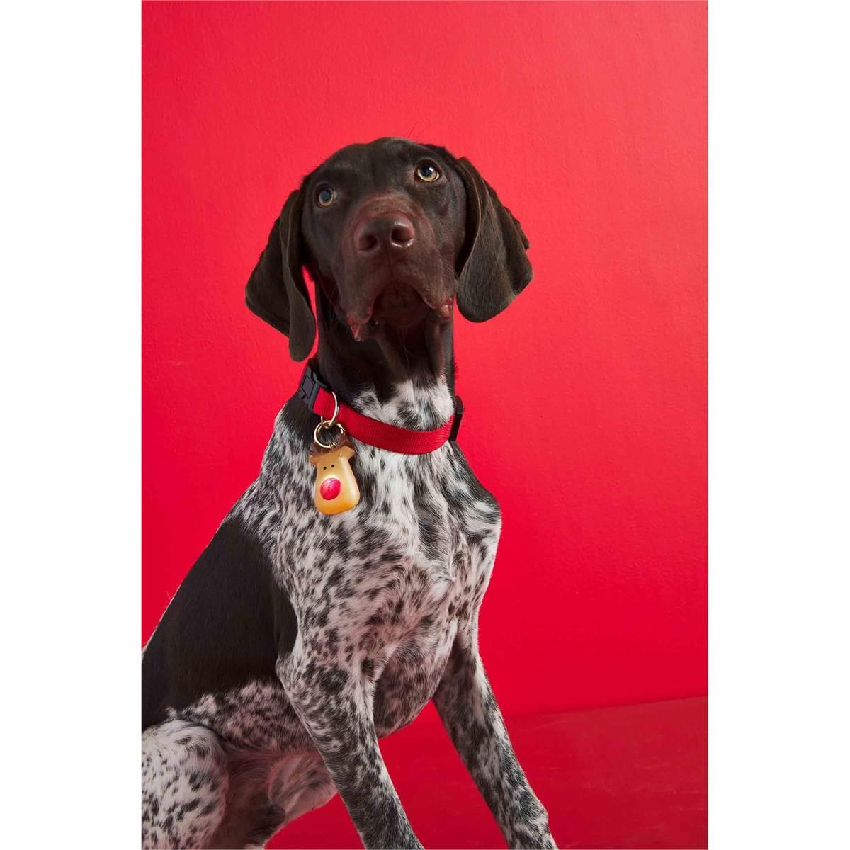 Christmas Dog Collar Charm-Tree
