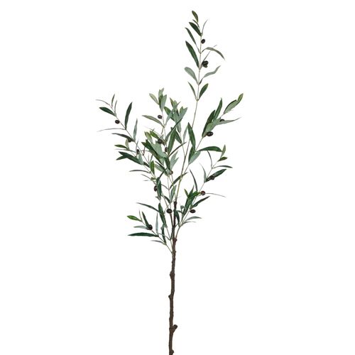 48.5&quot; Olive Leaf Branch