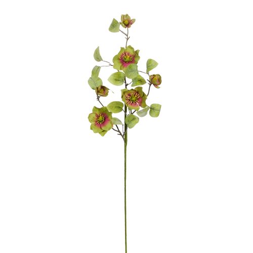27.5&quot; Hellebores Spray