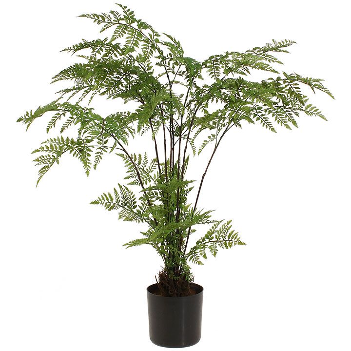 26&quot; Potted Fern