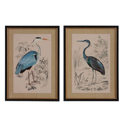 24&quot; Heron Framed Print
