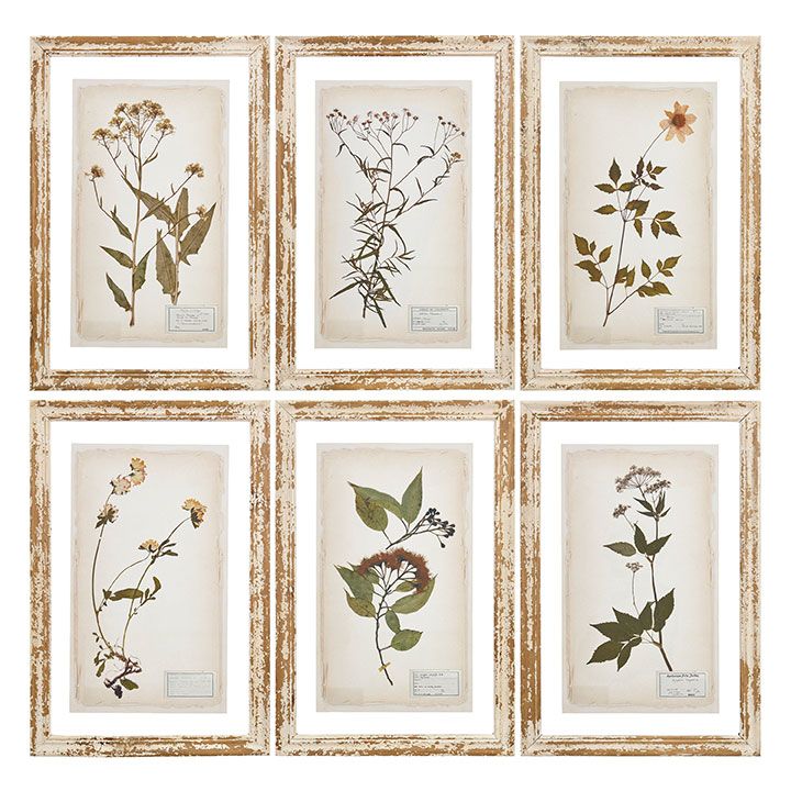 20.5&quot; Pressed Flower Framed Print