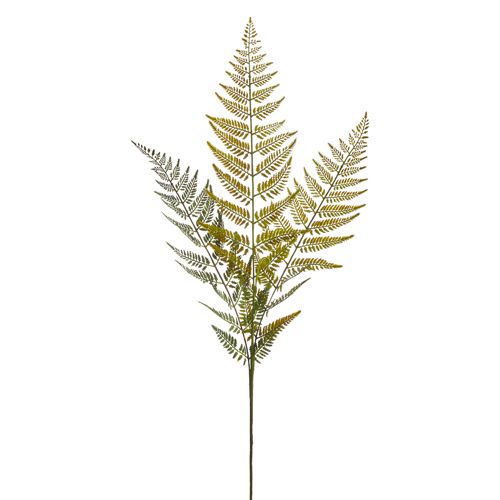 43&quot; Fern Spray