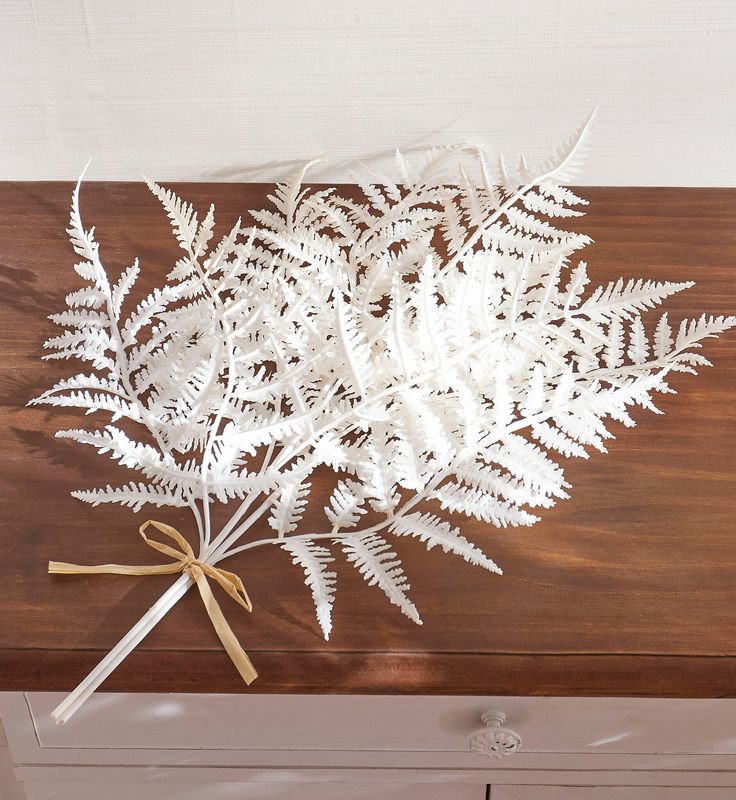 20&quot; Soft Touch White Fern Bundle