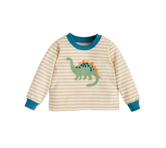 Dinosaur Sweatshirt