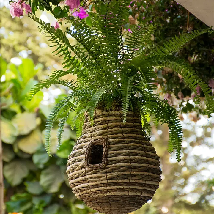 Pineapple Plantable Birdhouse