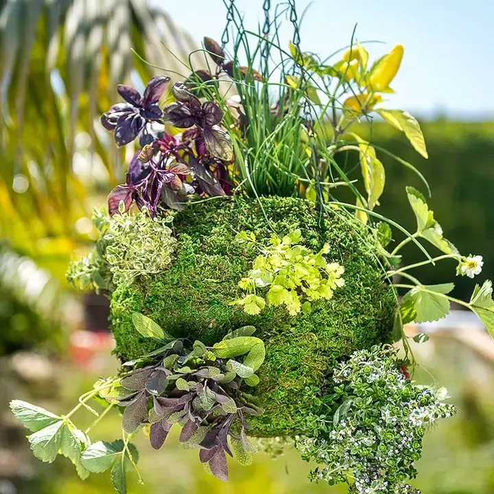 Moss Weave Hanging Ball Planter