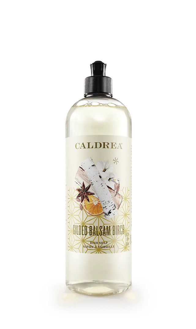 VG Dish Soap- Gilded Balsam Birch