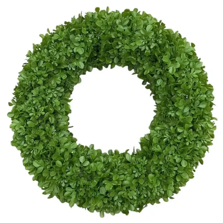 VG 19&quot; Plastic Boxwood Wreath